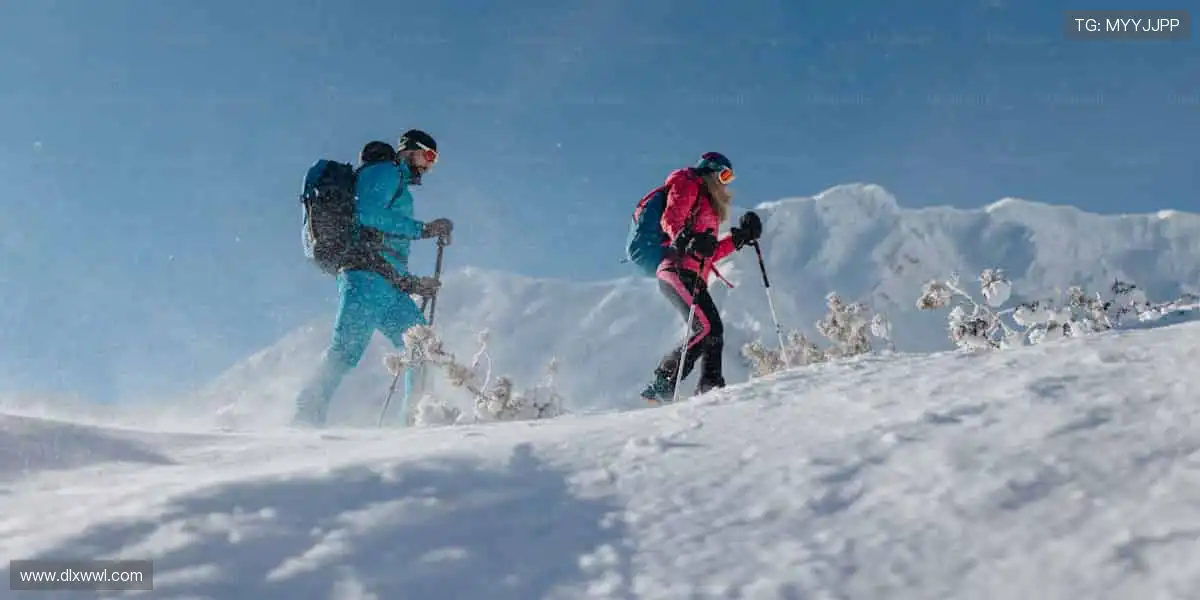 🎧沉浸式解说,让你身临其境!🎯